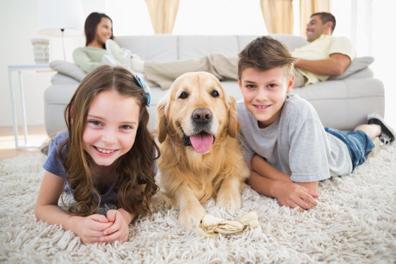 3 Benefits of Having an Air Cleaner Installed